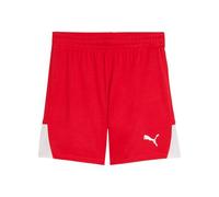 PUMA Unisex Kids Teamliga Shorts Jr Shorts