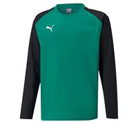 PUMA Unisex Kids Teamliga Training Sweat Jr Sweater