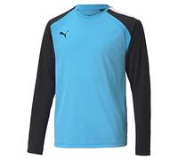 PUMA Unisex Kids Teampacer Gk Ls Jersey Jr Performance Tee, Blue Atoll-puma Black-puma White, 164 EU