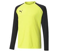 Puma Junior teamPACER LS GK Shirt