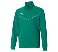 PUMA Unisex Kids Teamrise 1/4 Zip Top Jr Knitted Sweater