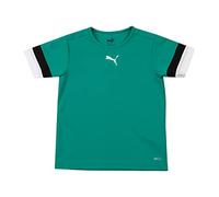 Puma Boys TeamRISE Training Jersey Pepper Green/Puma Black/Puma White 13/14Y