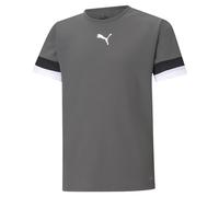 PUMA Unisex Kids teamRISE Jersey Jr Shirt, Smoked Pearl-puma Black-puma White, 140