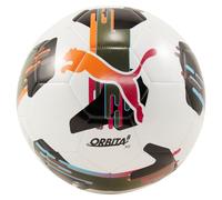 PUMA Unisex Orbita 6 Machine Stitch Soccer Ball