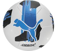 PUMA Unisex Puma TeamFINAL6 MS Training Football, White, One Size UK