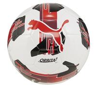 PUMA Unisex Puma TeamFINAL6 MS Training Football, White, One Size UK