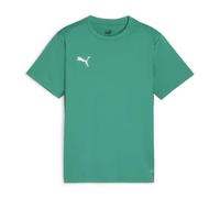 PUMA Unisex Teamgoal Jersey Jr Tee, Sport Green-puma White-Power Green, 140 EU