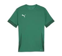 PUMA Unisex Teamgoal Matchday Jersey Jr Football Shirt, Sport Green-puma White-Power Green, 116 EU