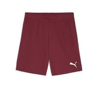 Puma Unisex Teamgoal Shorts Knitted Shorts