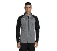 Puma Teamliga Training Jacket Grey M Men