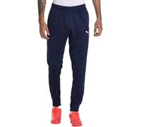 PUMA Unisex Teamrise Poly Training Pants Football Pants
