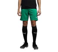 teamRISE Short