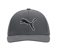 PUMA Unisex's Evercat Dillon Stretch Fit Cap Baseball, Dark Gray, L-XL