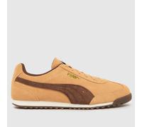 PUMA Women's Arizona Trainers in Beige & Brown, Suede, Size: 6 UK 6