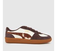 PUMA Women's Palermo Trainers in White & Brown, Suede, Size: 4 UK 4 (EU 37)