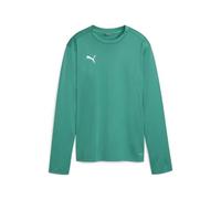PUMA Women's Teamgoal Training Sweat Wmn Sweat