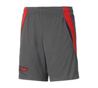 Puma X Batman Shorts Kids Grey F04