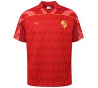 Puma x Harry Potter Relaxed Mens Red Jersey 630096_13