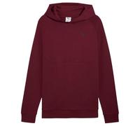 PUMATECH Hoodie DK