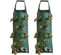 Pumixiy 2 Pack Upside Down Grow Bags For Strawberries Tomatoes Peppers Herbs Hanging Planters With Multiple Pockets Space Saving Garden Fabric Pots 62X25Cm(C)