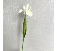 Pumixiy Fake Silk Artificial Iris Flowers Plant for Wedding Decorations, Home Décor and Special Events with Multiple Color Choices and Lifelike Appearance(White and green)