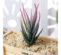Pumixiy Realistic Artificial Aloe Plant - Simulation Succulent Fake Flower with Pot for Indoor Décor, Green Mini Potted Plants Perfect for Office Desk, Bedroom and(B)