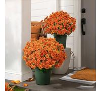 Pumixiy Sunset Mums Artificial Flowers Seven Stems per Bundle, Durable Outdoor Indoor Use for Seasonal Decorating and Special Event Setups(orange)