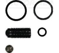 Fits REINZ USZCZELKI 15-42119-01 REPAIR KIT, PUMP-NOZZLE UNIT