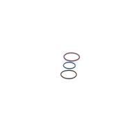 Repair Kit, unit injector BOSCH F00VX99999