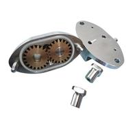 Pump Pressure Devices Compatible For Ice Cream Machines, Yogurt And Extrusion - Gear Pumps, And Matching Vacuum