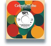 Pumphouse Gang - Welcome Back Into My Life (w/ Medlar Edit) [Vinyl LP] [VINYL]