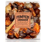 Pumpkin Cinnamon Fall Potpourri Bag - Autumn Scented Blend with Natural Elements, Ideal for Home Decoration and Fragrance - Perfect for Thanksgiving Harvest as Bowl, Vase, and Sachet Fillers