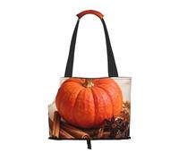 Pumpkin Cinnamon Spice Pet Carrier Bag-Foldable Travel Tote For Small Dogs Cats, Portable Soft Sided Pet Crate With Seatbelt For Cat Puppy
