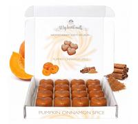 Pumpkin Cinnamon Spice Wax Melts: 16 x 6g Heart Shaped Aromatherapy Scent Infusion in a White Gift Box, Pet Friendly, Cruelty Free, Candle Alternative by Spotless Leopard