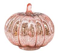 Pumpkin Glass Lamp - Silver Pumpkin Lights LED Lamp, Ideal for Halloween & Fall, 16x16x14cm Night Owl Book Light (RG1, One Size)
