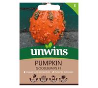 Pumpkin Goosebumps F1