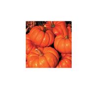 Pumpkin Jack O Lantern.