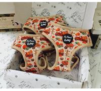 Pumpkin Patch Dog Harness S
