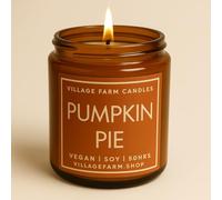 Pumpkin Pie Luxury Hand Poured Candle | Vegan | Eco Friendly | Hand Crafted, | 50+ Hour Burn Time | Soy Wax | Handmade | Artisan | Small Batch | Gourmand Candle