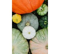 Pumpkin Pie: Undated Planner for Gratitude, Priorities, Notes and Autumn Vibe