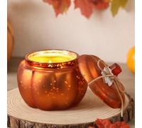 Pumpkin Shaped Candles, Autumn Pumpkin Spice Scented Candles, Fall Candle Gift Decoration for Home, 12oz, Farmhouse Pumpkin Decor Christmas Gift