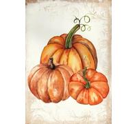 Pumpkin Spice Signs - Autumn Prints - Fall Decor - Pumpkin Print - Pumpkin Wall Art - Pumpkin Spice Season - Pumpkin Poster Metal Tin Sign Autumn Rustic House Wall Decor 8x12inch