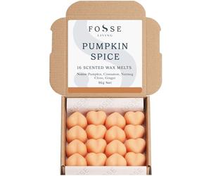 Pumpkin Spice Soy Wax Melts 16 Pack | Warm Cinnamon, Nutmeg & Spice | Natural, Vegan & Plastic Free | Up to 96 Hrs Scent | Pet Safe | Handmade in UK - Fosse Living