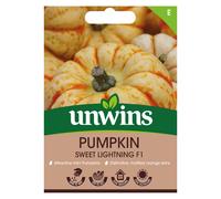 Pumpkin Sweet Lightning F1