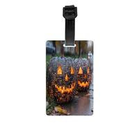 Pumpkin Technology Durable Luggage Tags for Suitcases, Luggage Tag Holder, Airplane Travel Essentials for Suitcases
