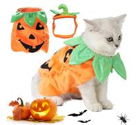 Pumpkin-Themed Cat Costume With Funny Headwear For Halloween Parties