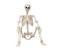 pumpumlia Life-Size Poseable Halloween Skeleton With Flexible Joints Sturdy Indoor/Outdoor Party Decor Indoor Outdoors Haunting House Decoration