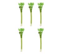 pumpumlia Natural Cats Chew Toy Teeth Cleaning Silvervine Stick Matatabi Treat Plaything Dentals Care Bored Kitten Silvervine Stick