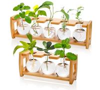Pumtus 2 Pack Plant Propagation Stations, Desktop Plant Terrarium with Wooden Stand, Water Propagation Station, Hydroponic Plants Vase with 8 Glass Bulbs, Small Propagated Plant Jar for Home Office