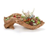 Pumtus Artificial Driftwood Planter, 16''L x 5''W x 5''H Sculpture Resin Succulent Flower Pot, Creative Imitation Wood Stump Log Bonsai Plant Pot, Cactus Container with Drainage Hole for Garden